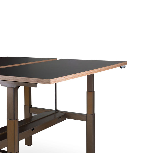 Sit-stand Duo Office Desk
