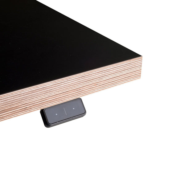 Sit-stand Duo Office Desk