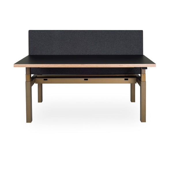 Sit-stand Duo Office Desk