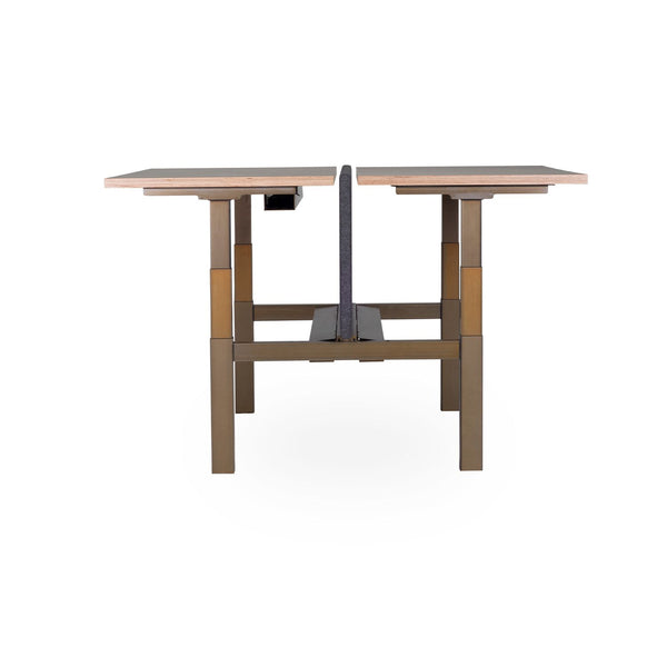 Sit-stand Duo Office Desk