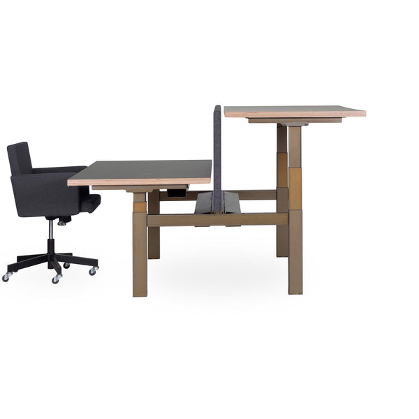 Sit-stand Duo Office Desk
